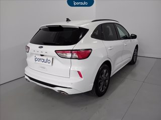 FORD Kuga 1.5 ecoblue st-line 2wd 120cv