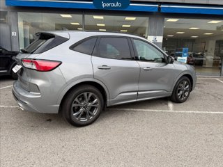 FORD Kuga 2.5 full hybrid st-line 2wd 190cv cvt