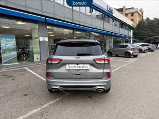 FORD Kuga 2.5 full hybrid st-line 2wd 190cv cvt