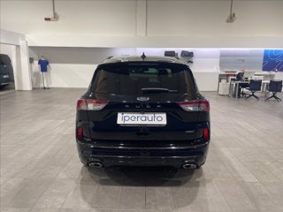 FORD Kuga 2.5 phev st-line x 2wd 225cv cvt