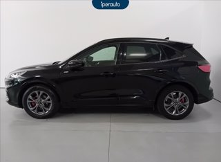 FORD Kuga 2.5 full hybrid st-line x 2wd 190cv cvt TETTO PANORAMICO