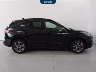 FORD Kuga 2.5 full hybrid st-line x 2wd 190cv cvt TETTO PANORAMICO