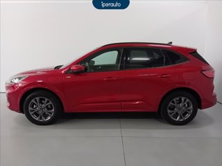 FORD Kuga 2.5 phev st-line 2wd 225cv cvt