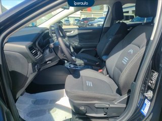 FORD Focus active 1.5 ecoblue 120cv auto