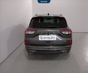 FORD Kuga 2.5 full hybrid st-line x 2wd 190cv cvt