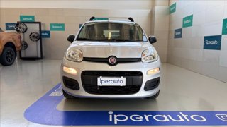 FIAT Panda 1.2 Lounge Gpl 69cv OCCASIONE