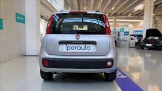 FIAT Panda 1.2 Lounge Gpl 69cv OCCASIONE