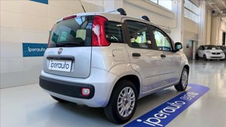 FIAT Panda 1.2 Lounge Gpl 69cv OCCASIONE