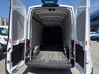 FORD Transit 350 2.0 tdci MHEV 170cv trend L3H2 *IVA ESCLUSA*