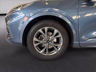 FORD Kuga 1.5 ecoboost ST-Line 2wd 150cv