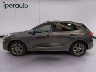 FORD Kuga 2.5 full hybrid st-line x 2wd 190cv cvt
