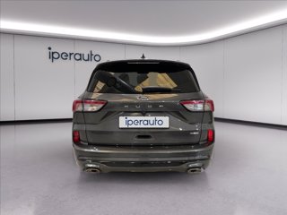 FORD Kuga 2.5 full hybrid st-line x 2wd 190cv cvt