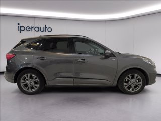 FORD Kuga 2.5 full hybrid st-line x 2wd 190cv cvt