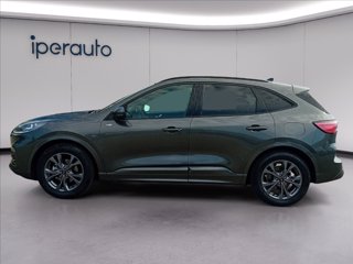 FORD Kuga 2.5 full hybrid st-line x 2wd 190cv cvt