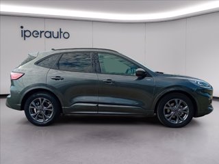 FORD Kuga 2.5 full hybrid st-line x 2wd 190cv cvt