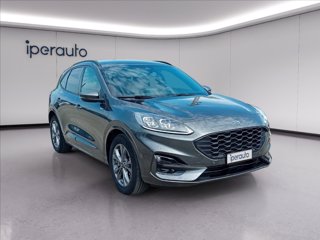 FORD Kuga 2.5 full hybrid st-line x 2wd 190cv cvt