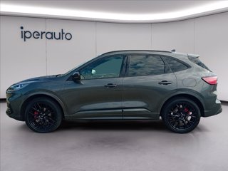 FORD Kuga 2.5 phev st-line x 2wd 225cv cvt