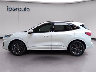 FORD Kuga 2.5 full hybrid st-line x awd 190cv cvt