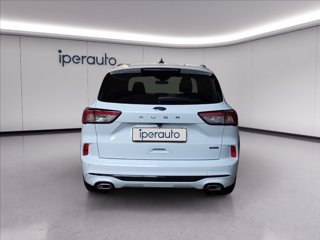 FORD Kuga 2.5 full hybrid st-line x awd 190cv cvt