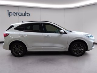 FORD Kuga 2.5 full hybrid st-line x awd 190cv cvt