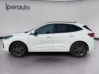 FORD Kuga 2.5 full hybrid st-line 2wd 190cv cvt