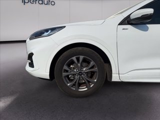 FORD Kuga 2.5 full hybrid st-line 2wd 190cv cvt
